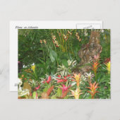 Flores en Aibonito Briefkaart (Voorkant / Achterkant)