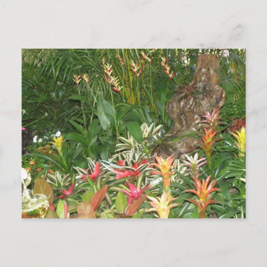 Flores en Aibonito Briefkaart (Voorkant)