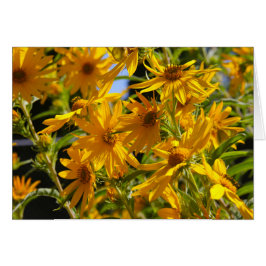 Flores en mi hierbas bloemen in mijn onkruid