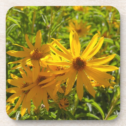 Flores en mi hierbas bloemen in mijn onkruid drankjes onderzetter (Voorkant)