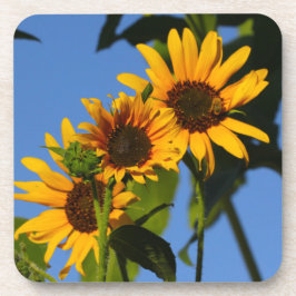 Flores en mi hierbas bloemen in mijn onkruid drankjes onderzetter