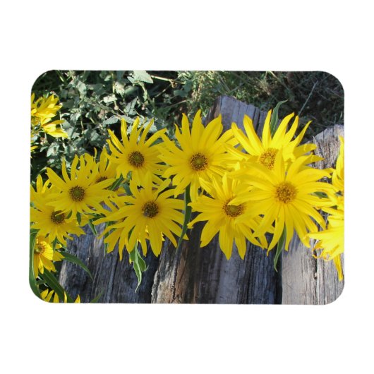 Flores en mi hierbas bloemen in mijn onkruid magneet (Horizontaal)