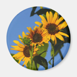 Flores en mi hierbas bloemen in mijn onkruid magneet