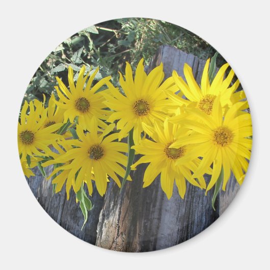 Flores en mi hierbas bloemen in mijn onkruid magneet (Voorkant)