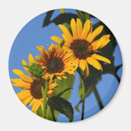 Flores en mi hierbas bloemen in mijn onkruid magneet