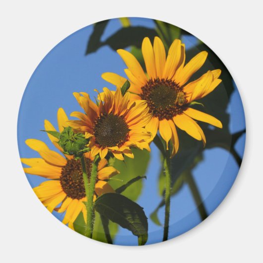 Flores en mi hierbas bloemen in mijn onkruid magneet (Voorkant)