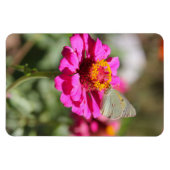 Flores en mi hierbas bloemen in mijn onkruid magneet (Horizontaal)