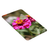 Flores en mi hierbas bloemen in mijn onkruid magneet (Rechterzijde)