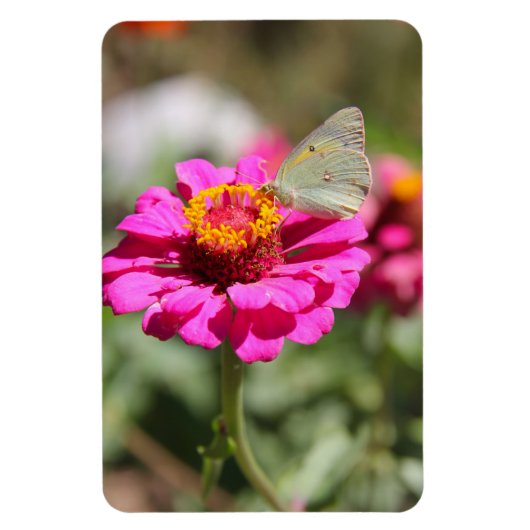 Flores en mi hierbas bloemen in mijn onkruid magneet (Verticaal)