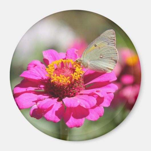 Flores en mi hierbas bloemen in mijn onkruid magneet (Voorkant)