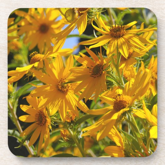 Flores en mi hierbas bloemen in mijn onkruid onderzetter (Voorkant)