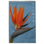 florfotografie kalender (Hoes)