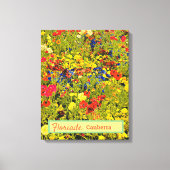 Floriade Canberra Australia flower festival papave Canvas Afdruk (Voorkant)