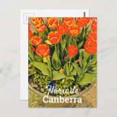 Floriade Canberra Australia flower tulip festival Briefkaart (Voorkant / Achterkant)