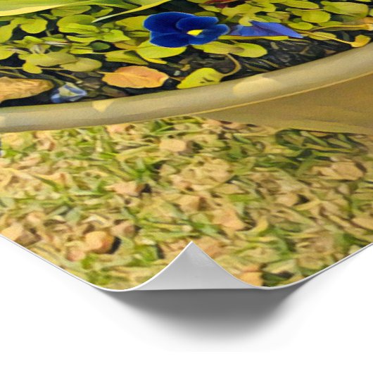 Floriade Canberra bloemfestival druktulpen Poster (Hoek)