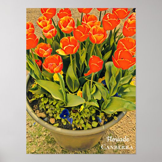 Floriade Canberra bloemfestival druktulpen Poster (Voorkant)