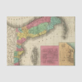 Florida 10 2 tissuepapier (Voorkant)