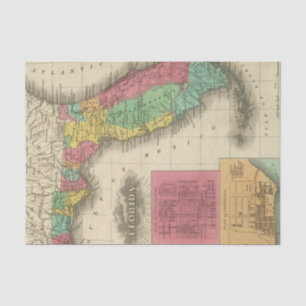 Florida 10 2 tissuepapier