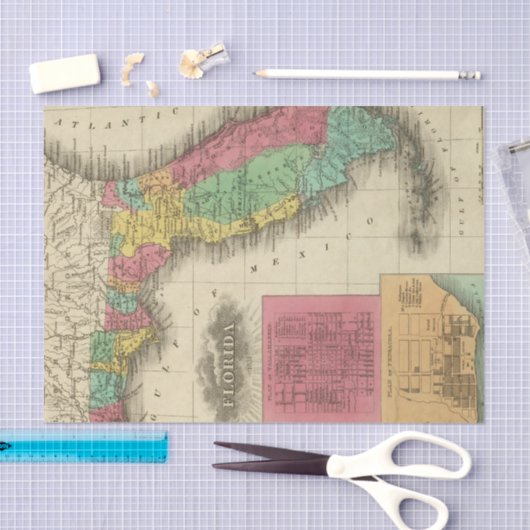 Florida 10 2 tissuepapier (Craft)