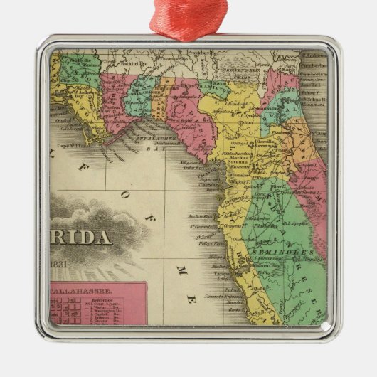 Florida 10 metalen ornament (Voorkant)