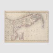 Florida 10 tissuepapier (Voorkant)