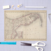 Florida 10 tissuepapier (Craft)