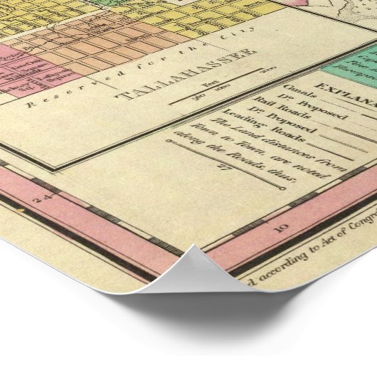 Florida 12 poster (Hoek)