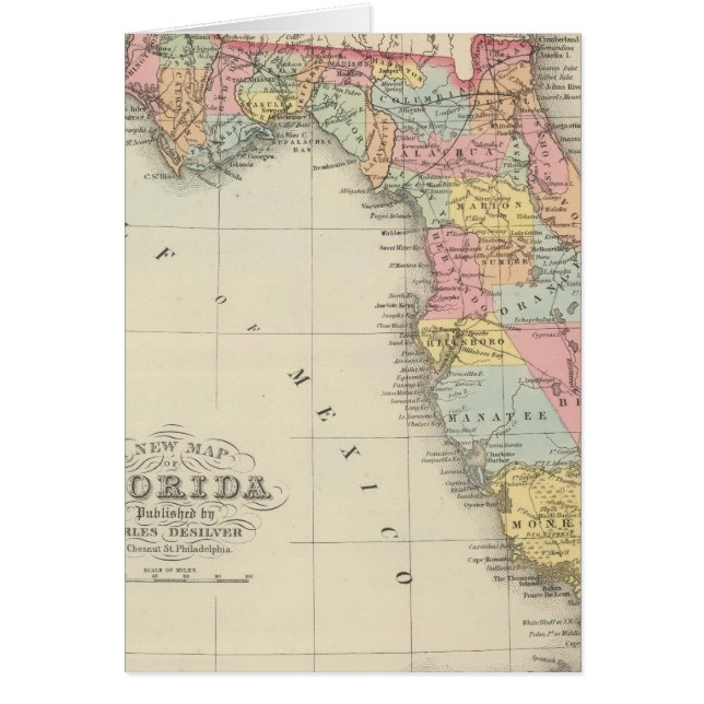 Florida 13 (Voorkant)