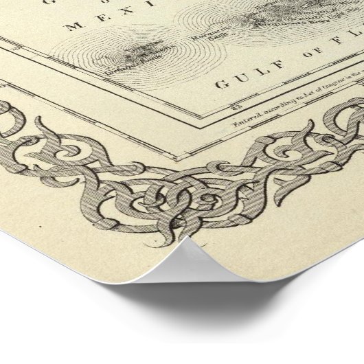 Florida 5 poster (Hoek)