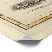 Florida 6 poster (Hoek)