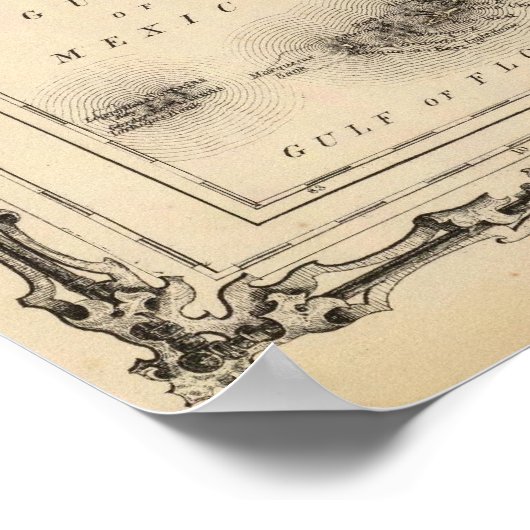 Florida 6 poster (Hoek)