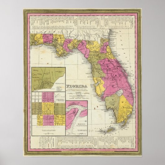 Florida 7 poster (Voorkant)