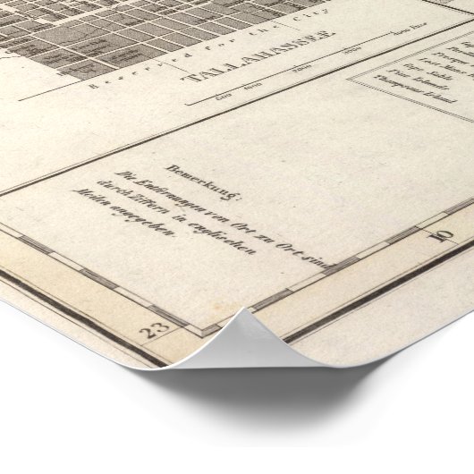 Florida 8 poster (Hoek)