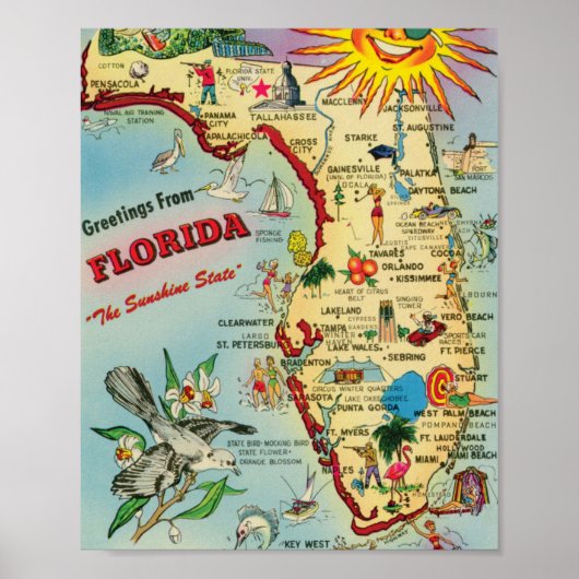 Florida 8x10 Poster Afdruk (Voorkant)