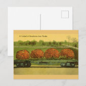  Florida aardbeien Reisbriefkaart Briefkaart (Voorkant / Achterkant)