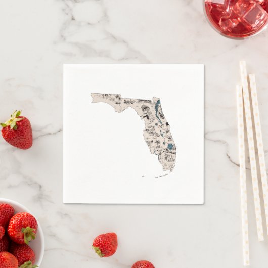 Florida  Afbeelding Map Antiek Floridian Art Servet (Insitu)