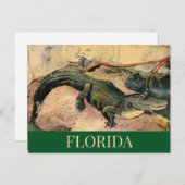 Florida Alligator Ansichtkaart Briefkaart (Voorkant / Achterkant)