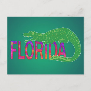 Florida Alligator Briefkaart