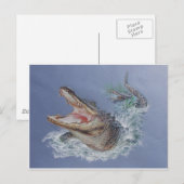 Florida Alligator Briefkaart (Voorkant / Achterkant)
