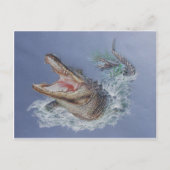 Florida Alligator Briefkaart (Voorkant)