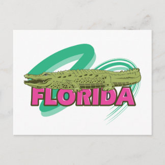 Florida Alligator Briefkaart