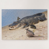 Florida Alligator met dieren. Alligatorbuffer Legpuzzel (Horizontaal)