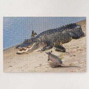 Florida Alligator met dieren. Alligatorbuffer Legpuzzel