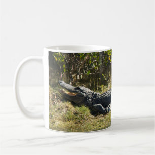 Florida-alligator op grazige oever – Wilde moeras  Koffiemok