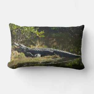 Florida-alligator op grazige oever – Wilde moeras  Kussen