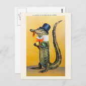  Florida Alligator Post Card Briefkaart (Voorkant / Achterkant)