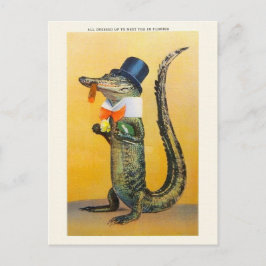 Florida Alligator Post Card Briefkaart