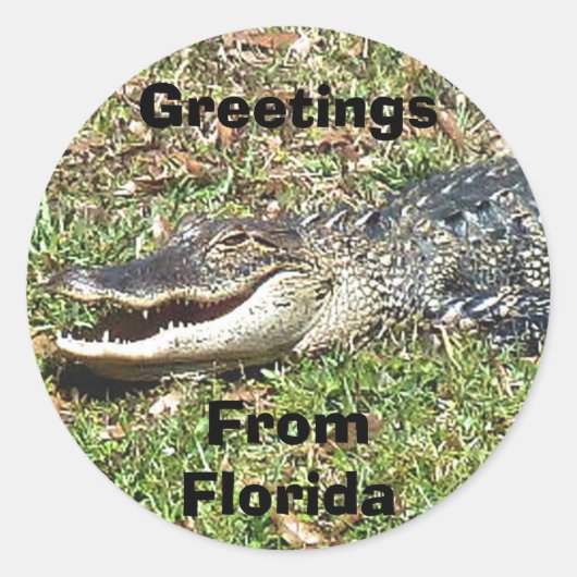 Florida Alligator Sticker Groeten uit Florida (Voorkant)
