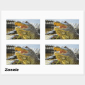 Florida Alligators face to face Rechthoekige Sticker (Vel)