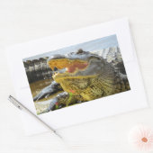 Florida Alligators face to face Rechthoekige Sticker (Envelop)